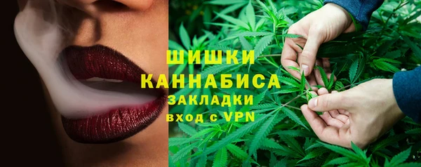 сатива Медногорск