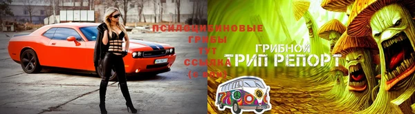 ГАЛЛЮЦИНОГЕННЫЕ ГРИБЫ Мегион